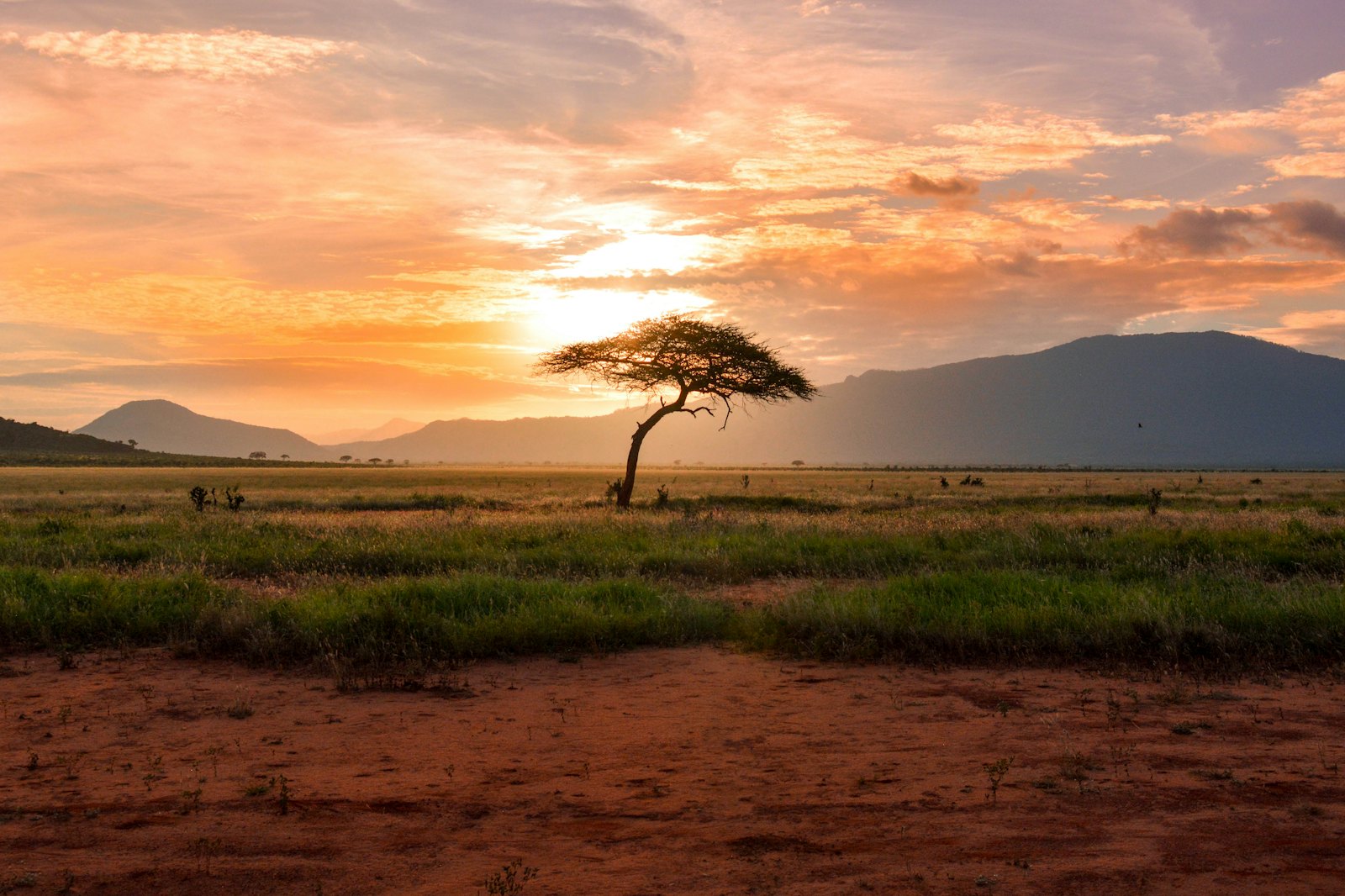East African landscape at sunrise